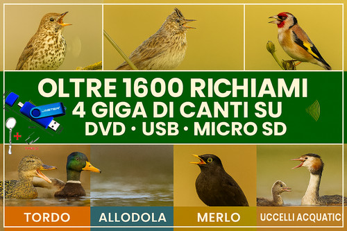 Mega raccolta 1600 - raccolta,